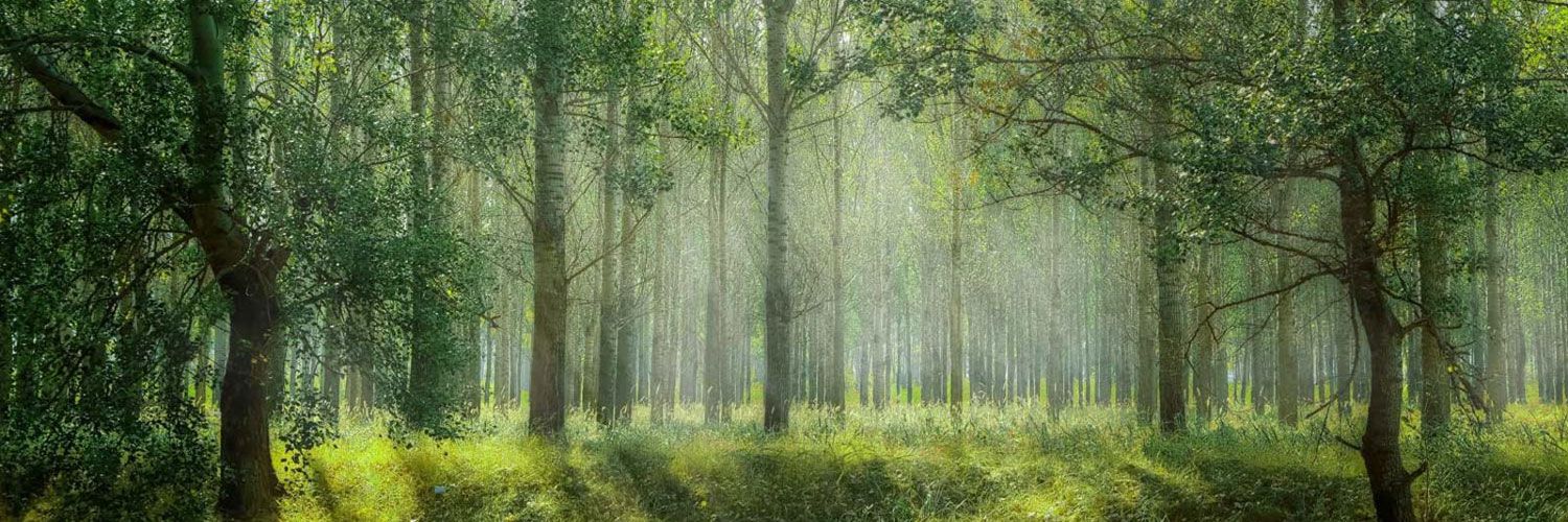 Matahari nachhaltigkeit